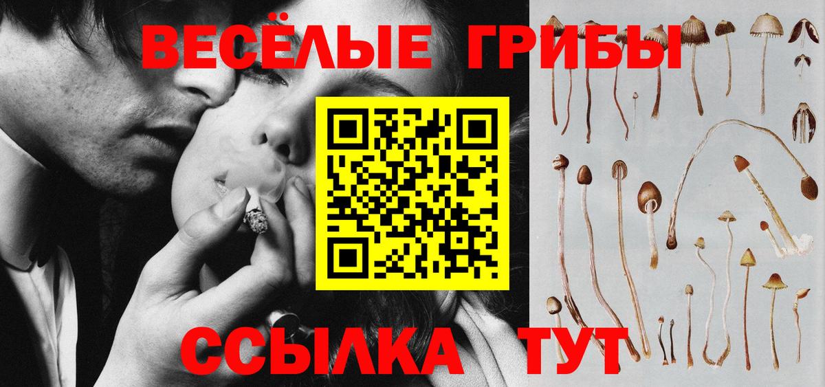Лысьва  Псилоцибиновые грибы прущие грибы  Вход с VPN 