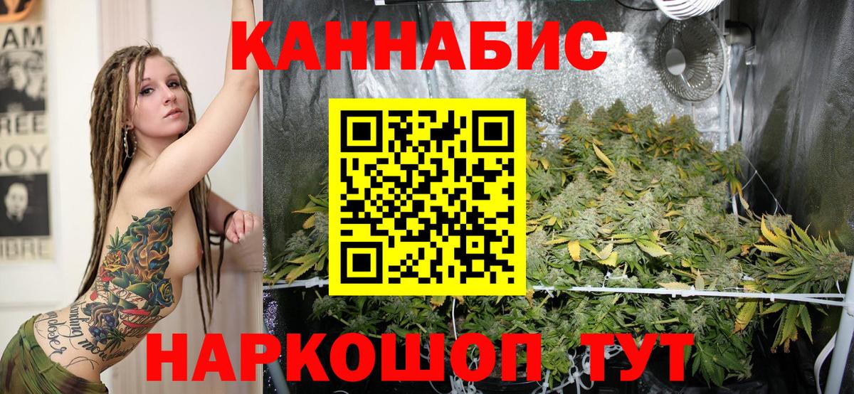 Бошки Шишки Лысьва